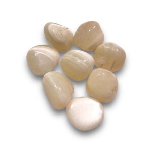 Agata Bianca Burattata